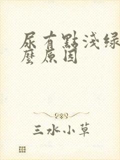 尿有点浅绿色什么原因