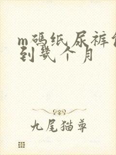 m码纸尿裤能穿到几个月