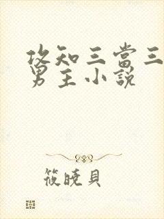 攻知三当三的双男主小说