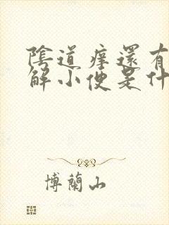 阴道痒还有老想解小便是什么原因