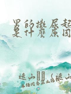 男的撒尿起泡泡是什么原因