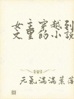 女主穿越到男频文里的小说