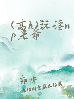 (高h)玩淫np老爷