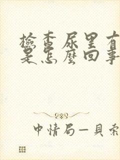 检查尿里有隐血是怎么回事