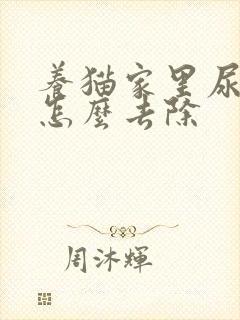 养猫家里尿骚味怎么去除