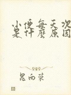 小便每天次数多是什么原因