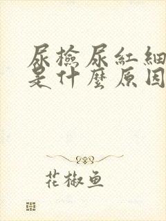 尿检尿红细胞高是什么原因