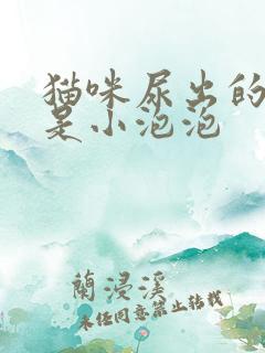 猫咪尿出的尿全是小泡泡