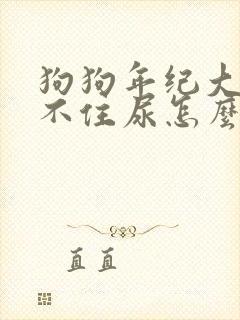 狗狗年纪大了憋不住尿怎么办