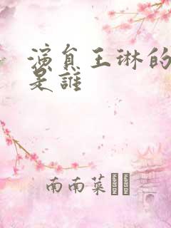 演员王琳的丈夫是谁