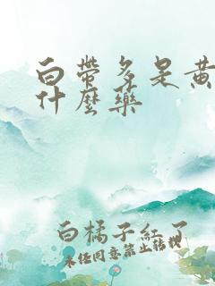 白带多是黄色吃什么药