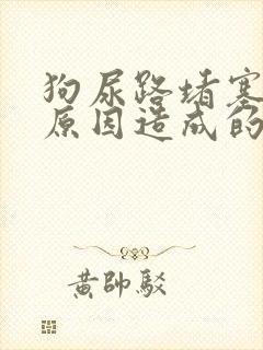 狗尿路堵塞什么原因造成的