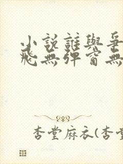 小说谁与争锋左飞无弹窗无广告