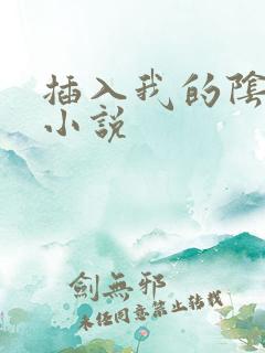 插入我的阴道 小说