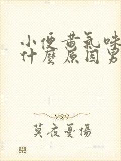 小便黄气味重是什么原因男性