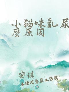 小猫咪乱尿是什么原因