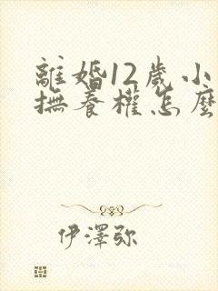 离婚12岁小孩抚养权怎么判定