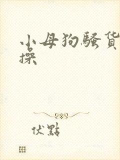 小母狗骚货被我操