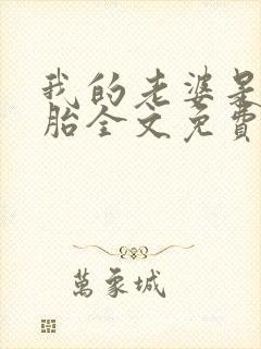 我的老婆是双胞胎全文免费阅读