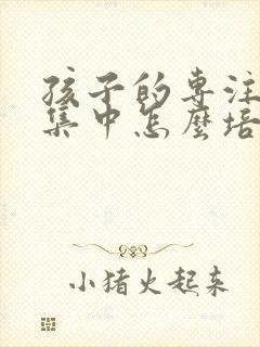 孩子的专注力不集中怎么培养