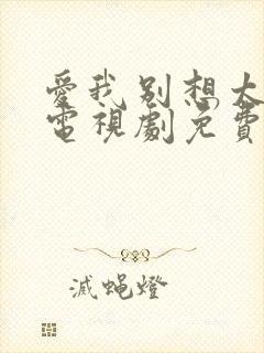 爱我别想太多了电视剧免费观看