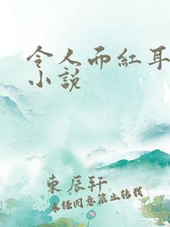 令人面红耳赤的小说