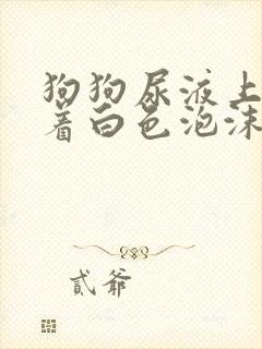 狗狗尿液上漂浮着白色泡沫