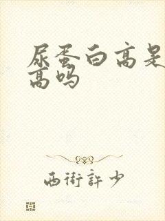 尿蛋白高是尿酸高吗