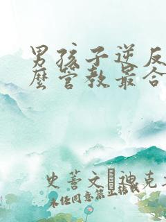 男孩子逆反期怎么管教最合适