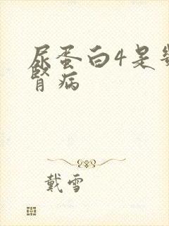 尿蛋白4是几期肾病