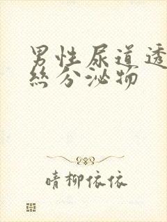 男性尿道透明拉丝分泌物