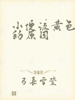 小便流黄色液体的原因