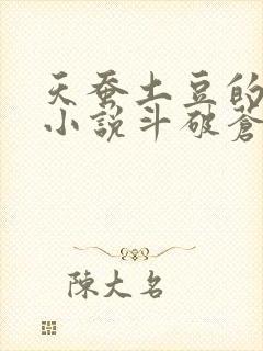 天蚕土豆的全部小说斗破苍穹