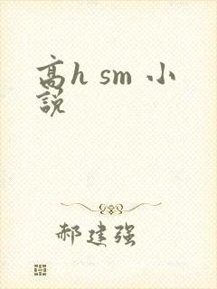 高h sm 小说