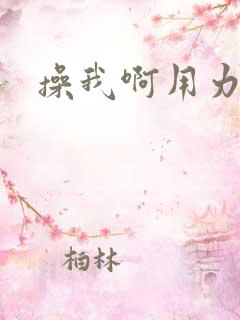 操我啊用力快点