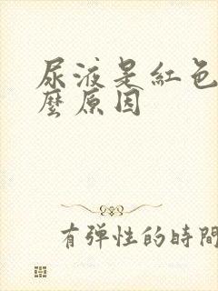 尿液是红色是什么原因