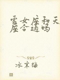 处女座和天秤男座合适吗