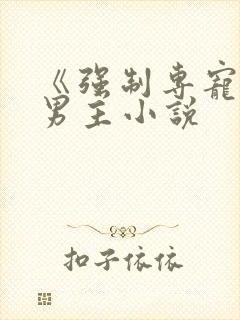 《强制专宠》双男主小说