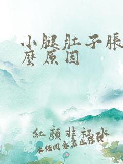 小腿肚子胀痛什么原因