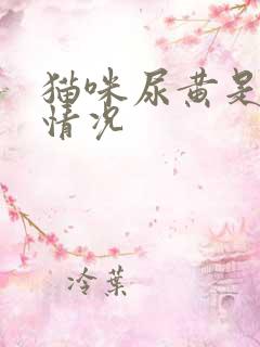 猫咪尿黄是什么情况