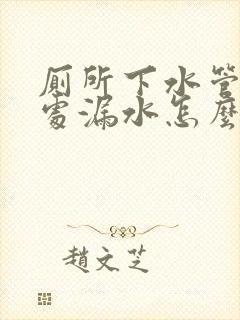 厕所下水管接口处漏水怎么办