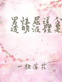 男性尿道分泌出透明液体是什么