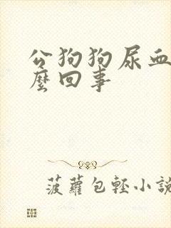 公狗狗尿血是怎么回事