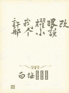 许我耀眼改编自哪个小说