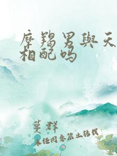 摩羯男与天秤女相配吗