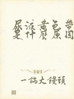 尿液黄色带泡沫是什么原因