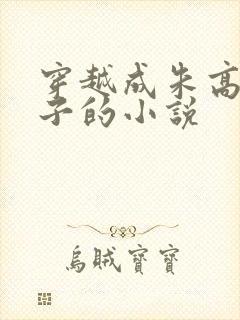 穿越成朱高煦儿子的小说