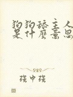 狗狗舔主人的手是什么意思