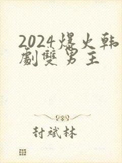 2024爆火韩剧双男主