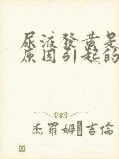 尿液发黄是什么原因引起的